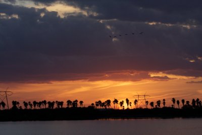 IMG_3603.jpg