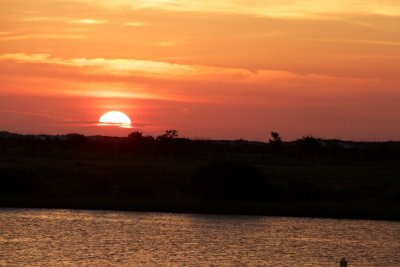 IMG_4061.jpg