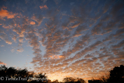 Tucson Sky