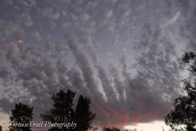 Tucson Sky