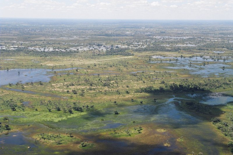 Okavange Delta, Botswana