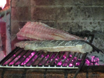 fresh fish on the grill