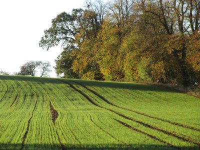 Autumn in Yorkshire