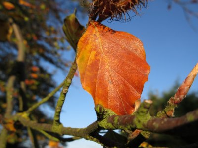 Autumn in Yorkshire