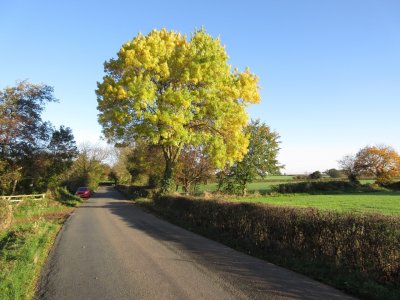 Autumn in Yorkshire