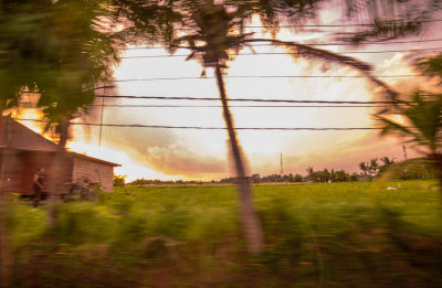 Bali-7284.jpg