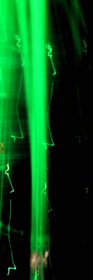 IMG_9939 laser ligts and dancers.jpg