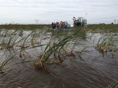 Better airboat ride route 27