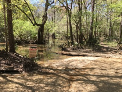 Florida Caverns Sate Park Swamp