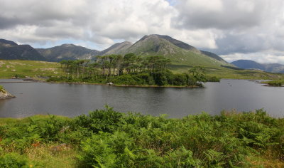 Connemara__1810_pbase.JPG