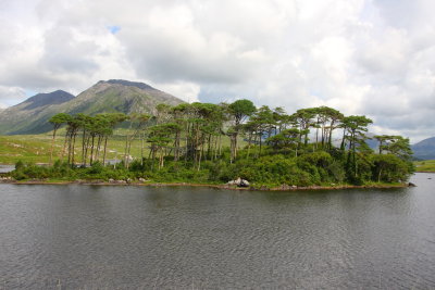 Connemara__1812_pbase.JPG