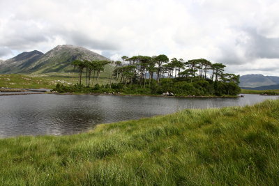 Connemara__1815_pbase.JPG