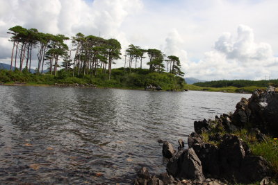 Connemara__1823_pbase.JPG