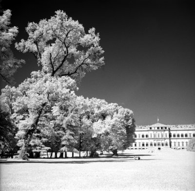 IR-REAL  - Infrared photos in the park of Ville Reale di Monza. 