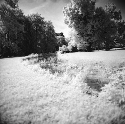 g9/36/739336/3/164784579.3w1h55Fr.jpg