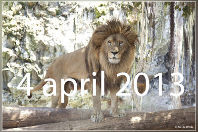 4APRIL2013.jpg