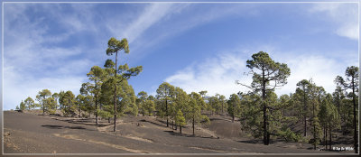 panorama 5652-5654.jpg