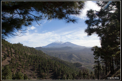 _MG_5291.jpg