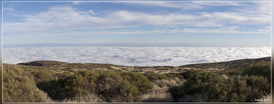 panorama 5910-5913.jpg