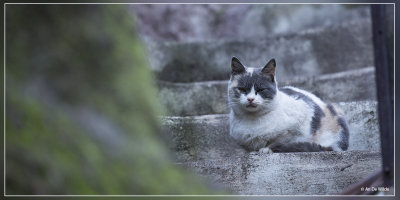 IMG_8860.jpg