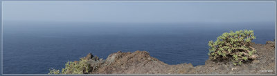 panorama483-485.jpg
