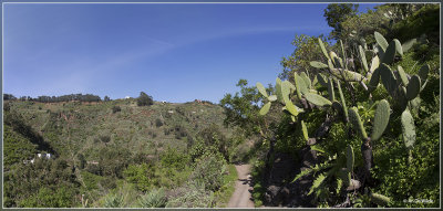 panorama1560-1562kopie.jpg