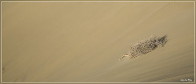 IMG_1848.jpg