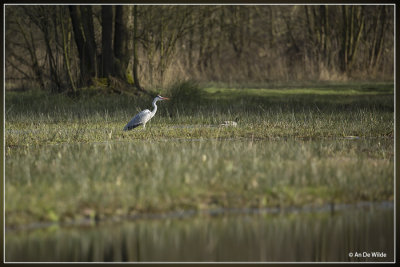 IMG_4456kopie.jpg