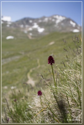_MG_8389.jpg