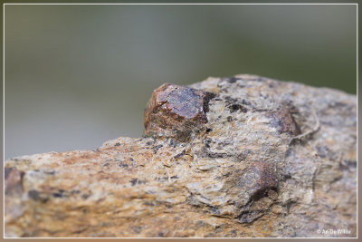 Granaat (mineraal)