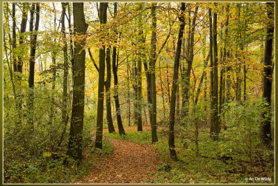 Amsterdamse Bos