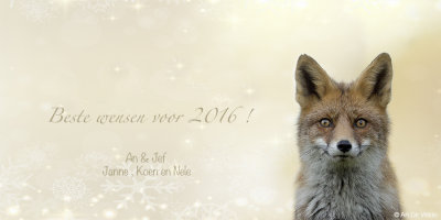 Best wishes for 2016 !