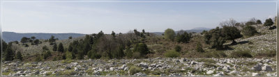 panorama 9422-9425.jpg