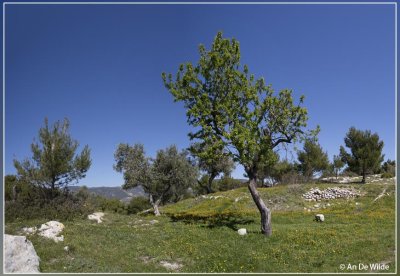 panorama3080+3081kopie.jpg