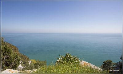 _MG_3243kopie.jpg