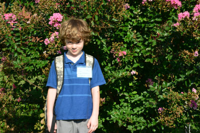 My Kindergartener