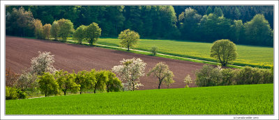 Spring Landscape in Franconia