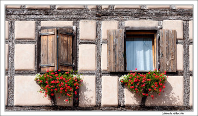 Windows in Bergheim-4