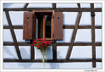 Windows in Bergheim-3