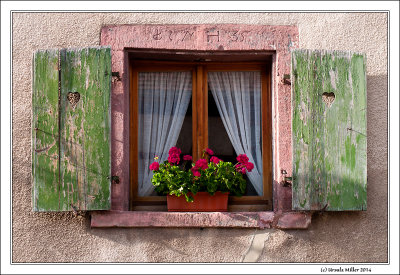 Windows in Bergheim-1