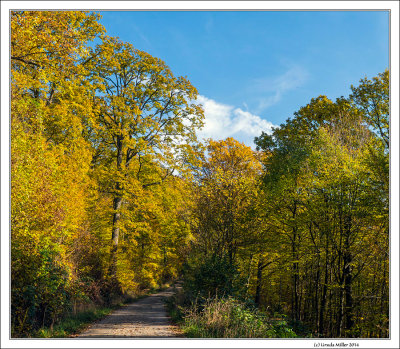 Autumn Day