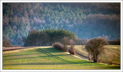 Long Shadows