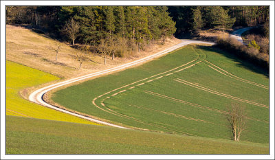 Lines in Nature