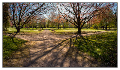 Morning in the Park