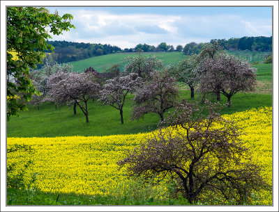 Spring in the Country