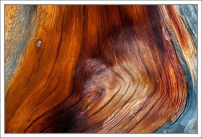 Swiss Stone Pine Structure