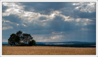 Evening Light