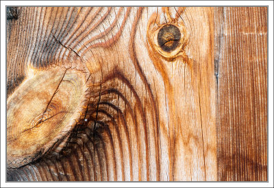 Wood Detail