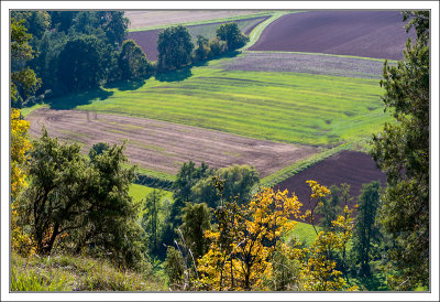 September Colors