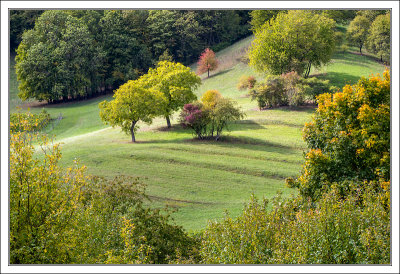 Early Autumn